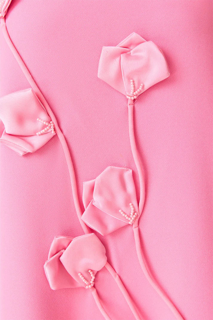 Elliatt Nolana Gown in Pink