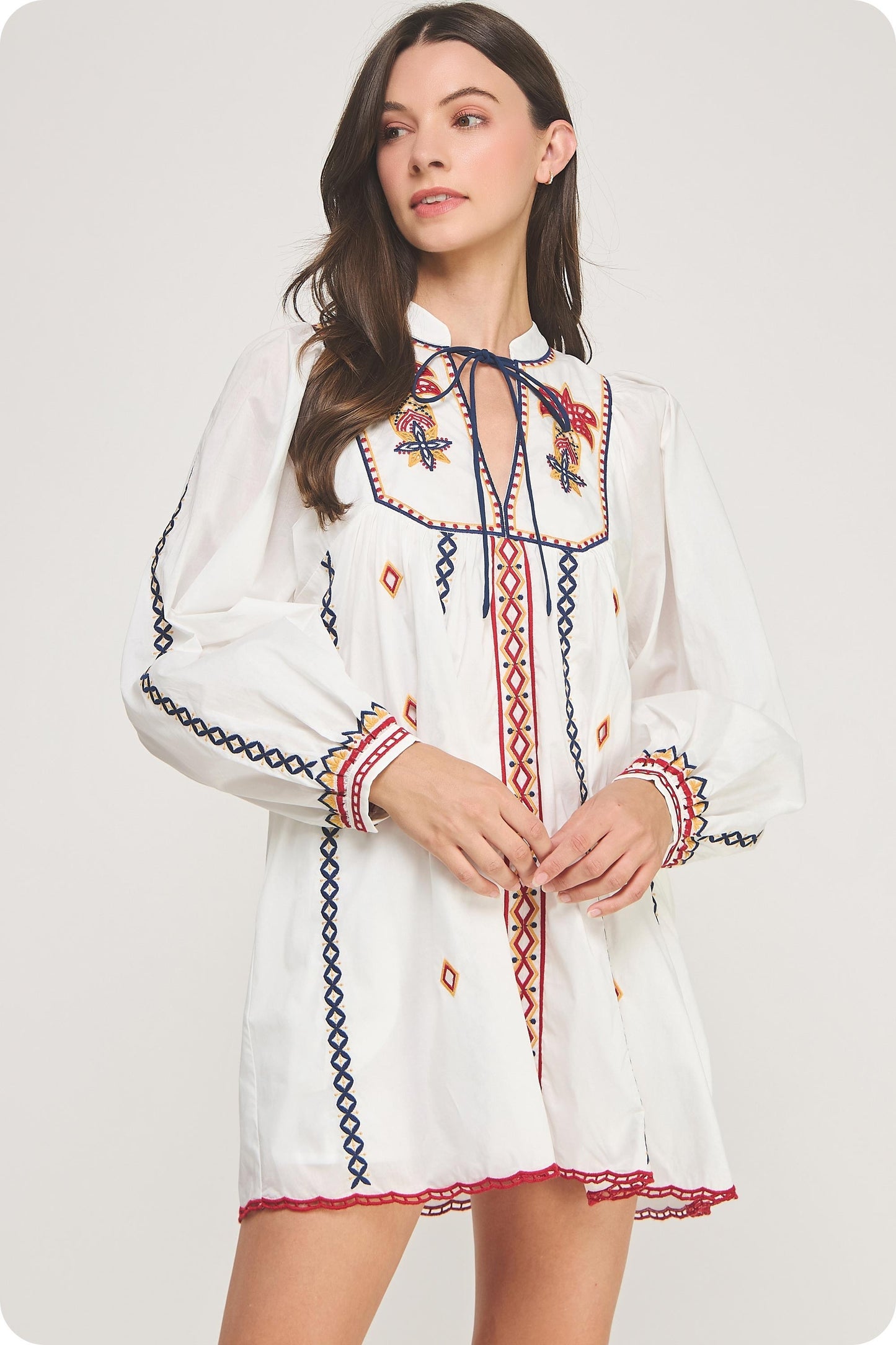 Dusty Embroidered Long Sleeve Dress